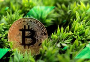 Read more about the article Best Green Cryptocurrencies for Sustainable Investing